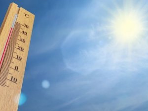 canicule